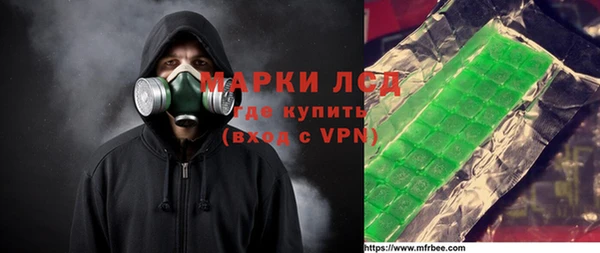 ПСИЛОЦИБИНОВЫЕ ГРИБЫ Арсеньев