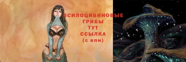 эйфоретик Алексеевка