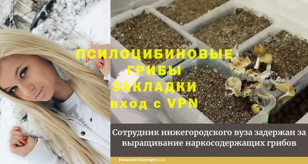 PSILOCYBIN Алексин