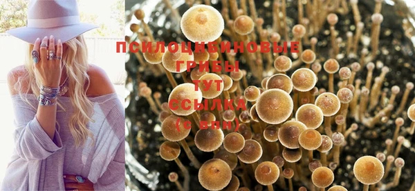 соль курить ск Аркадак