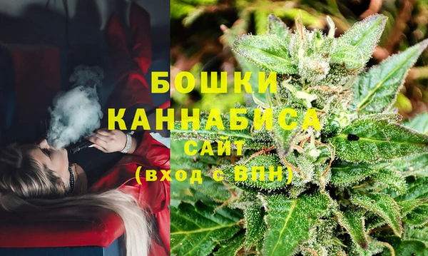 ПСИЛОЦИБИНОВЫЕ ГРИБЫ Арсеньев
