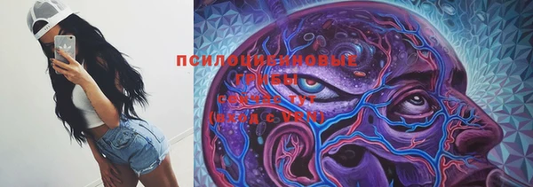 эйфоретик Алексеевка