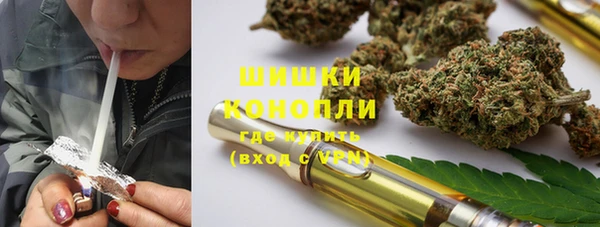 гашик Алзамай