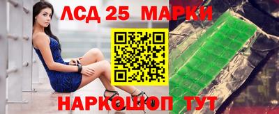 гашик Камышлов