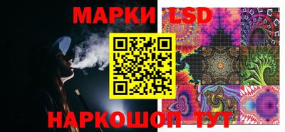 гашик Камышлов