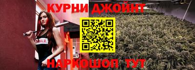 гашик Камышлов