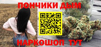 гашик Камышлов