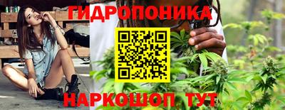 2c-b Канаш