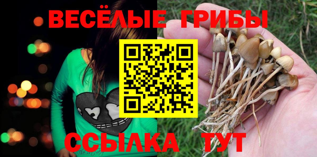 Люберцы  Псилоцибиновые грибы ЛСД  Псилоцибиновые грибы ЛСД  Вход с VPN 